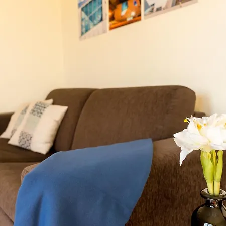 Apartment Music Relaxing With Bikes, Terrace & Parking *